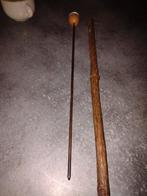 Gadget wandelstok, Ophalen of Verzenden