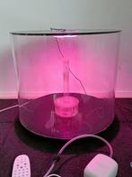 Biorb tube 35, Dieren en Toebehoren, Ophalen, Gebruikt