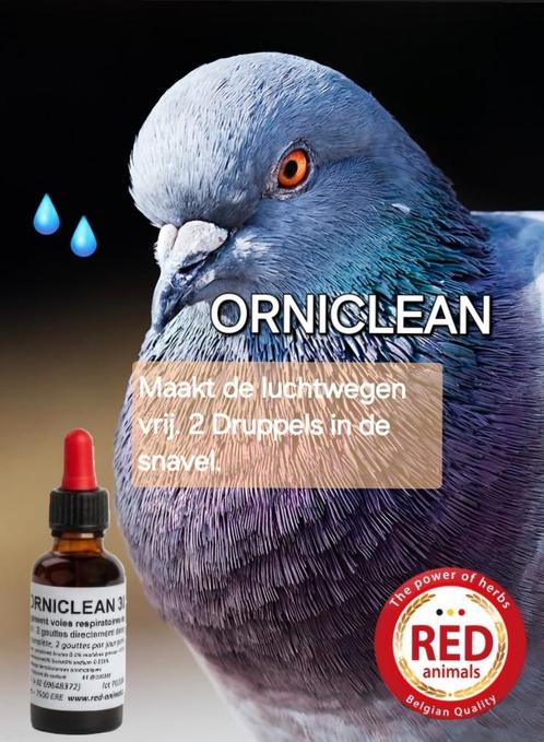 Orniclean, Maakt De Luchtwegen Vrij, Red Animals, Dieren en Toebehoren, Overige Dieren-accessoires, Nieuw, Ophalen