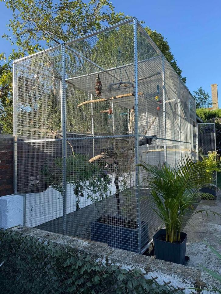 Voliere en aluminium neuve, Animaux & Accessoires, Oiseaux | Cages & Volières, Neuf, Aluminium, Enlèvement