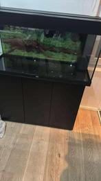 Juwel aquarium, Ophalen, Zo goed als nieuw, Leeg aquarium