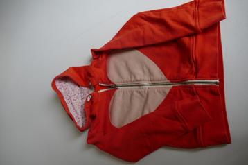 gilet American Outfitters: 4 jaar beschikbaar voor biedingen