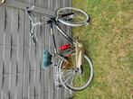 Batavus staccato, 49 tot 53 cm, Ophalen, Zo goed als nieuw, Batavus
