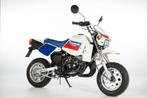 NOS Nieuw 1987 Kawasaki KS-1 ( ksr gag minibike ) japan, Motoren, Bedrijf, 49 cc, 1 cilinder, Naked bike