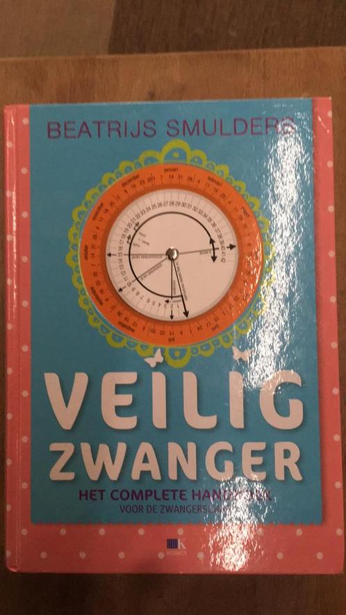 Beatrijs Smulders - Veilig zwanger, Livres, Grossesse & Éducation, Enlèvement ou Envoi