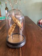 Joli clocher avec des scarabées dorés, des insectes., Antiquités & Art, Curiosités & Brocante, Enlèvement ou Envoi