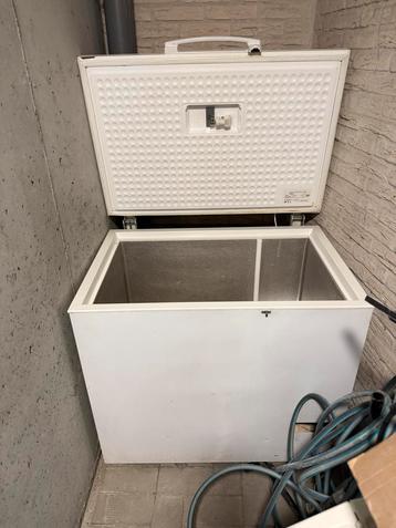 Diepvries 320liter beschikbaar voor biedingen
