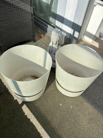 Pot de fleurs  beschikbaar voor biedingen