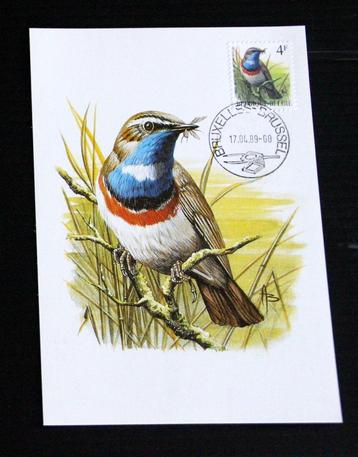 André Buzin Belgie 1989 blauwborst maximumkaart vogels birds beschikbaar voor biedingen