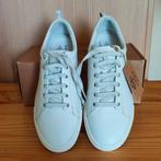 Superbes baskets blanches PLDM by Palladium neuves, Wit, Ophalen of Verzenden, Sneakers, Palladium