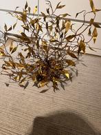 Kunstwerk van Daniël D”haeseleer / sculptuur - design, Antiek en Kunst, Ophalen