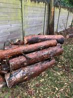 Brandhout stammen, Tuin en Terras, Brandhout, Ophalen, Stammen
