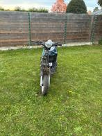 Beeline papailon 50 cc minarelli horizontaal 2t, Fietsen en Brommers, Ophalen, Zo goed als nieuw