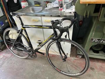 Ridley racefiets - Tour Edition 08  beschikbaar voor biedingen