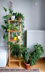 Potstandaard en planten erop, Tuin en Terras, Ophalen, Gebruikt