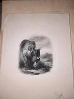 oude gravure, Ophalen of Verzenden