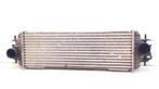 RADIATEUR INTERCOOLER Renault Trafic New (JL) (7700312903), Auto-onderdelen, Gebruikt, Renault