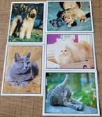 5 Panini stickers reeks Huisdieren, Verzamelen, Ophalen of Verzenden, Gebruikt, Dier en Natuur
