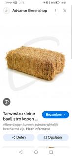 Tarwestro, Zakelijke goederen, Landbouw | Veevoer, Ophalen