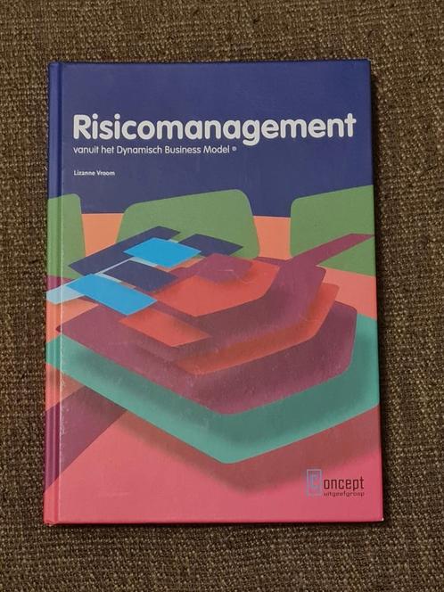 Lizanne Vroom - Risicomanagement, Boeken, Economie, Management en Marketing, Ophalen of Verzenden