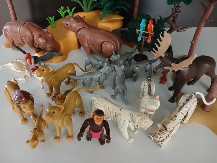 Zoo PLAYMOBIL avec 21 animaux, 6 végétaux et 1 gros rocher, Enfants & Bébés, Jouets | Playmobil, Utilisé, Playmobil en vrac, Enlèvement