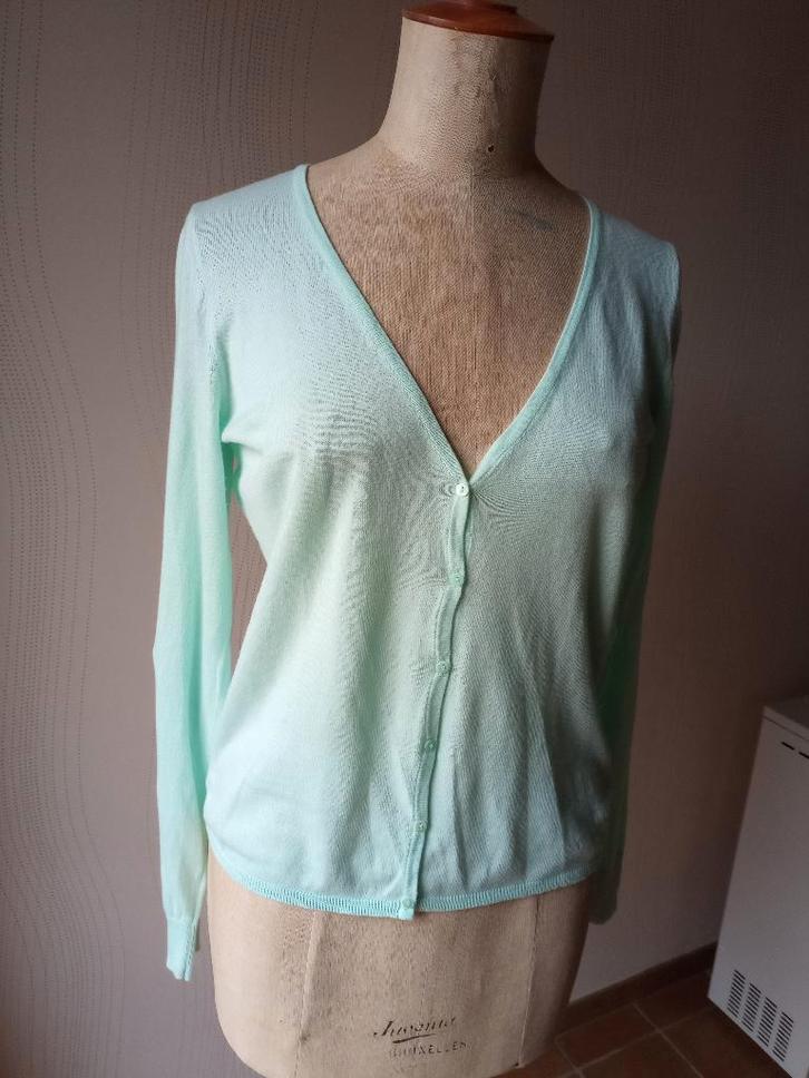 Gilet en coton fin de Matin Blanc, Vêtements | Femmes, Blouses & Tuniques, Comme neuf, Taille 38/40 (M), Enlèvement ou Envoi