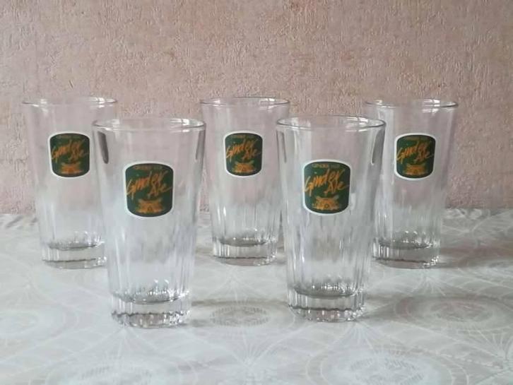 5 glazen Ginder Ale, Verzamelen, Biermerken, Nieuw, Glas of Glazen, Overige merken, Ophalen of Verzenden