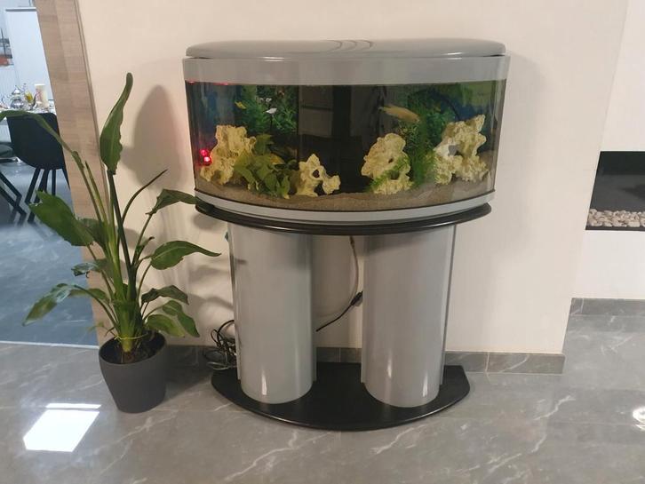 Komplete Aquarium, Dieren en Toebehoren, Vissen | Aquaria en Toebehoren, Ophalen