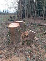 houtstronk om sculptuur van te maken, kastanje hout, Tuin en Terras, Ophalen of Verzenden