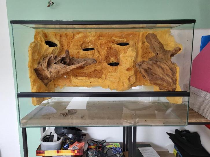 Terrarium (+ scape en materiaal), Dieren en Toebehoren, Reptielen en Amfibieën