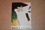 Monografie en catalogus Roger Raveel - 1983, Ophalen of Verzenden, Zo goed als nieuw, Schilder- en Tekenkunst, Roger raveel