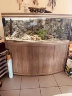 Aquarium, Dieren en Toebehoren, Ophalen, Zo goed als nieuw