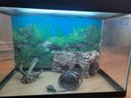 Aquarium te koop met luchtpomp en decoratie, Dieren en Toebehoren, Ophalen, Gebruikt