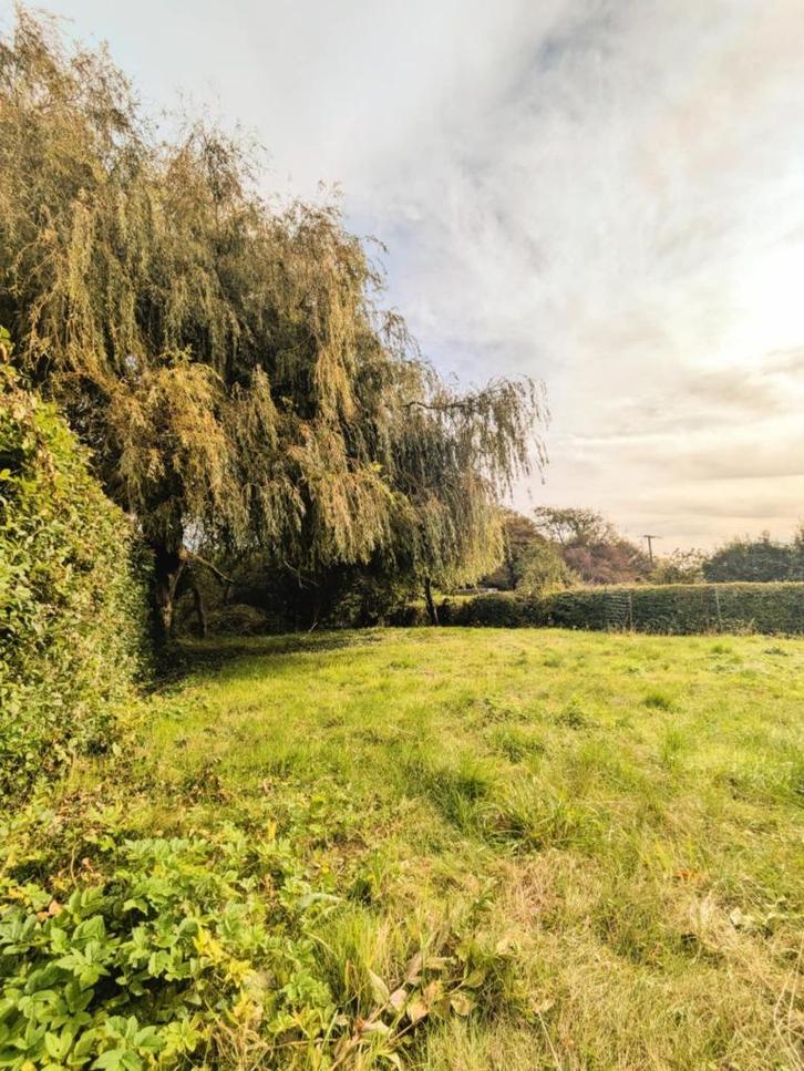 Huis met 8 kamers BAZINGHEN, Immo, Huizen en Appartementen te koop, 500 tot 1000 m², Vrijstaande woning, C