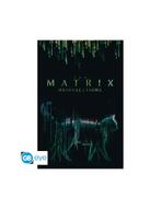 The Matrix - Poster Maxi (91.5x61cm) - Cat, Nieuw, Film en Tv, Vierkant, Verzenden