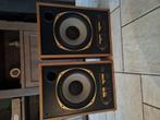 Tannoy Little gold monitor. 12 inch, Ophalen, Zo goed als nieuw