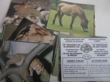 Prenten de Zoo van Antwerpen, Neuf, 1980 à nos jours, Enlèvement ou Envoi, Gravure