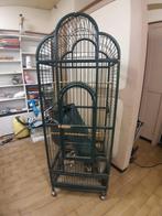 Vogelkooi voor papegaaien, Ophalen, Gebruikt, Vogelkooi