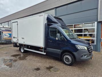 Mercedes-Benz Sprinter 519 CDI/ Kuhlkoffer Carrier -20/ LBW  beschikbaar voor biedingen