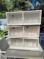 Africht kooien, Dieren en Toebehoren, Ophalen, Gebruikt