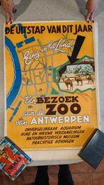 Affiches originales 'Zoo Van Antwerpen', Collections, Autres sujets/thèmes, Utilisé, Affiche ou Poster pour porte ou plus grand