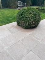 Betonnen terrastegels +/- 142 stuks! Lichte kleur(tint roze), Ophalen, Terrastegels