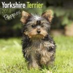 Yorkshire Terriër puppykalender 2018, Nieuw, Jaarkalender, Verzenden