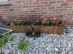 2 grote bloembakken, Tuin en Terras, Ophalen of Verzenden, Zo goed als nieuw