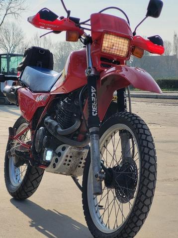 Honda XL 600 R beschikbaar voor biedingen