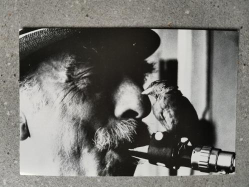 carte postale jazz Mike Zinzen avec son moineau domestique, Collections, Cartes postales | Thème, Non affranchie, 1980 à nos jours
