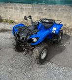 Grizzly 125, Motoren, Quads en Trikes