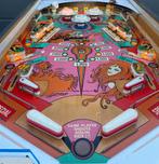 Flipper Gottlieb Jungle Queen (1977) - Révisé, Collections, Enlèvement, Comme neuf, Flipper (jeu), Gottlieb