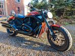 Harley Davidson V Rod Street Rod Speciale editie Rik's, Motoren, Particulier