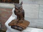 wandbeeld van een uil op bronzen boeken, Tuin en Terras, Ophalen of Verzenden, Nieuw